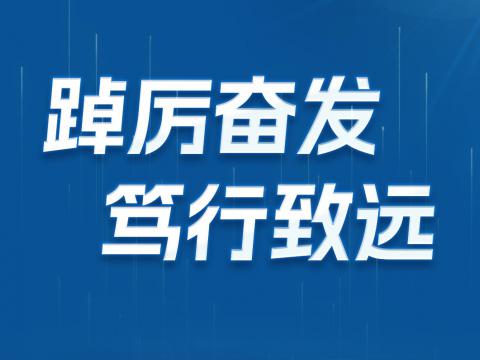一图读懂J9集团国际站电气2024年半年报