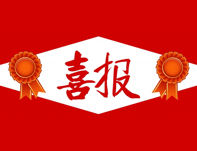 62860186296b7